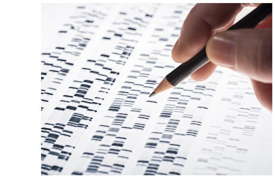 生命科学的下一代存储解决方案